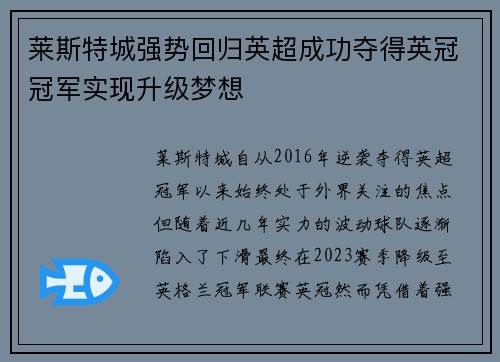 莱斯特城强势回归英超成功夺得英冠冠军实现升级梦想